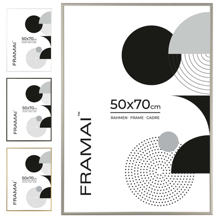 Srebrna ramka aluminiowa QAL 50x70 cm