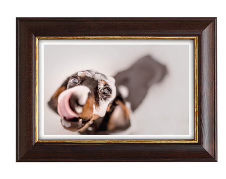 Ramka drewniana na zdjęcia DRI S 4 50x70 cm