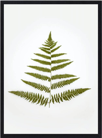 RAMA DREWNIANA - RAMKA NA ZDJĘCIA - 40x50 CZARNA