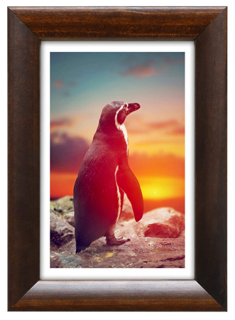 Ramka drewniana na zdjęcia DRI G 4 24x30 cm