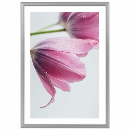 Srebrna ramka aluminiowa na zdjęcia Royall 21x30 cm