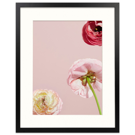 Czarna ramka na zdjęcia HEN PASS 2 40x50 cm z passe partout (30x40)