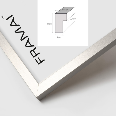 Srebrna ramka na zdjęcie LUX S 40x50 cm