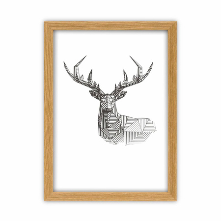 Zestaw bębowych ramek galeria Pinia 00 GF0010