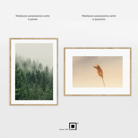 Zestaw 2 brązowych ramek na zdjęcia FDM 02 w rozmiarze 50x70 cm