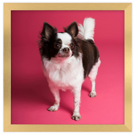 Złota ramka na zdjęcia HEN Z 30x30 cm