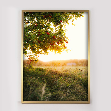 Złota ramka na zdjęcie LUX Z 50x70 cm