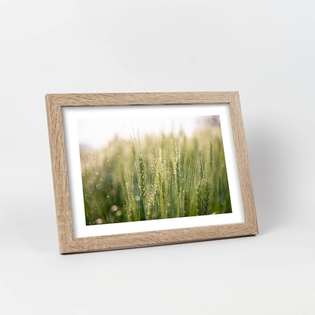 Pakiet 5 szt. ramek na zdjęcia kolor bielony dąb HEN 0 21x29,7 A4 cm