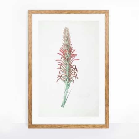 Ramka na zdjęcia w klorze dębu HEN 01 40x60 cm