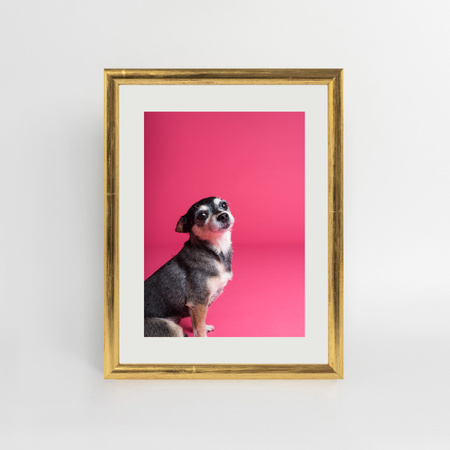 Złota ramka drewniana na zdjęcia EKO Z4 18x24 cm