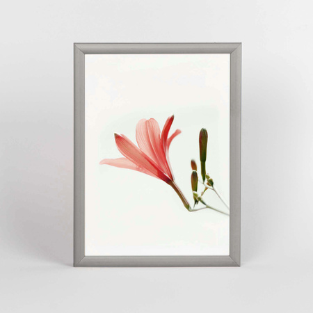 Srebrna ramka aluminiowa na zdjęcia Royall 13x18 cm