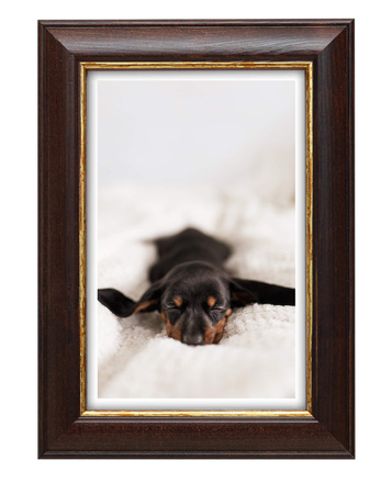 Ramka drewniana na zdjęcia DRI S 4 24x30 cm