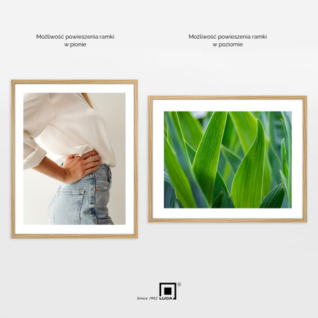 Pakiet 3 szt. ramek na zdjęcia kolor dębowy FDM M02 40x50 cm