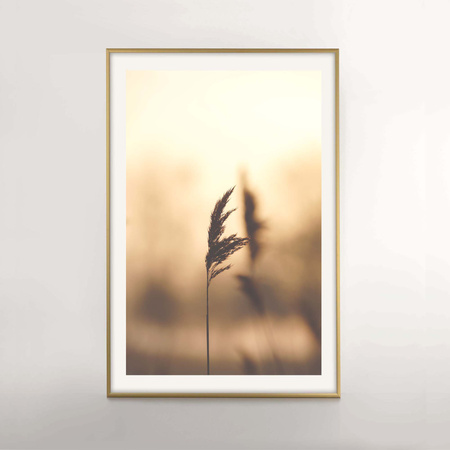 Złota ramka aluminiowa na zdjęcia Royall 62x93 cm