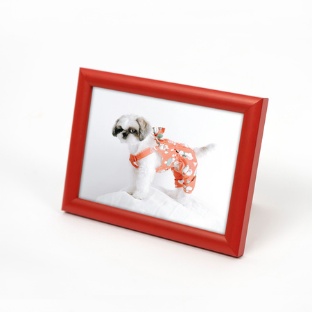 Ramka drewniana na zdjęcia EKO 5 10x15 cm