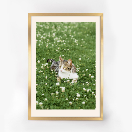 Złota ramka na zdjęcia A4 HEN Z 21x29,7 cm