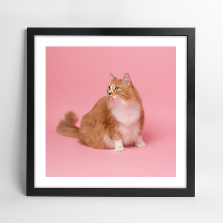 Czarna ramka na zdjęcia HEN 2 40x40 cm