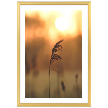 Złota ramka aluminiowa QAL 21x29,7 cm