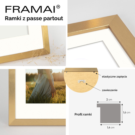 Złota ramka na zdjęcia HEN PASS Z 30x40 cm z passe partout (21x30 cm)
