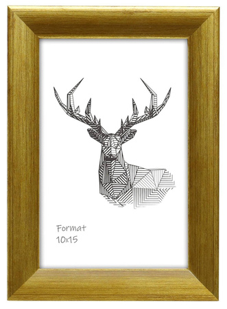 Ramka drewniana na zdjęcia DRI G Z 50x60 cm