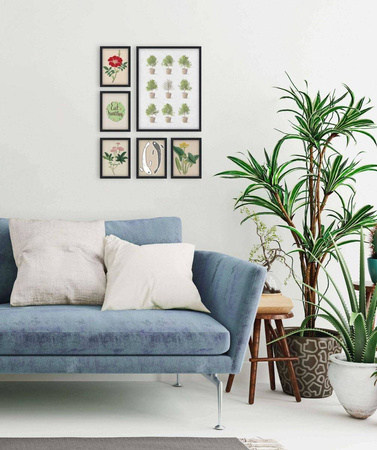 Zestaw czarnych ramek galeria Pinia 2 GF0002