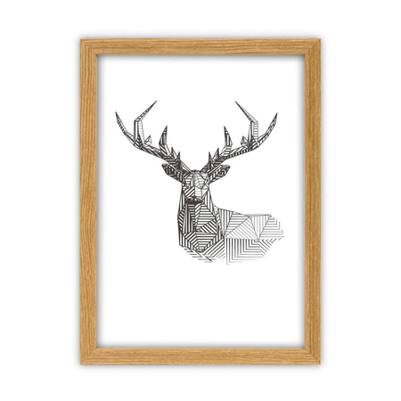 Zestaw ramek kolor dębowy galeria Pinia 00 GF0002