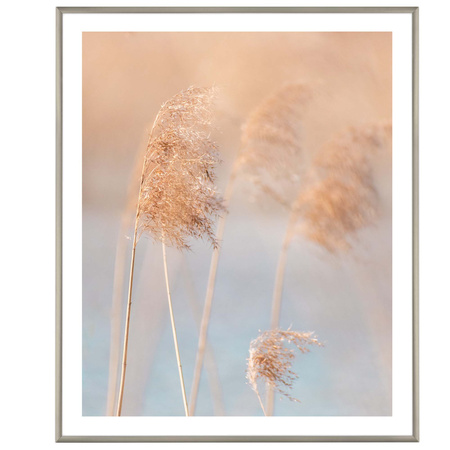 Srebrna ramka aluminiowa na zdjęcia Royall 50x60 cm