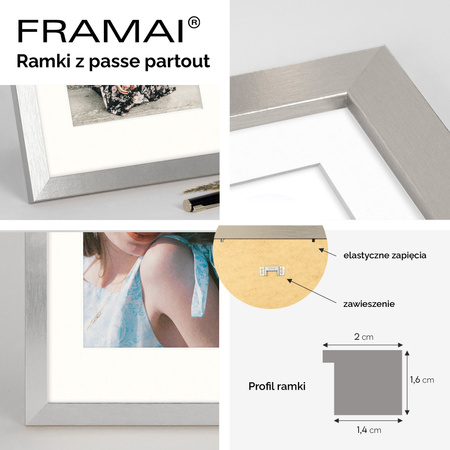 Srebrna ramka na zdjęcia HEN PASS S 60x80 cm z passe partout (50x70 cm)