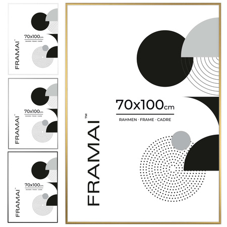 Złota ramka aluminiowa QAL 70x100 cm