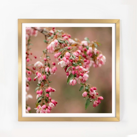 Złota ramka na zdjęcia HEN Z 50x50 cm