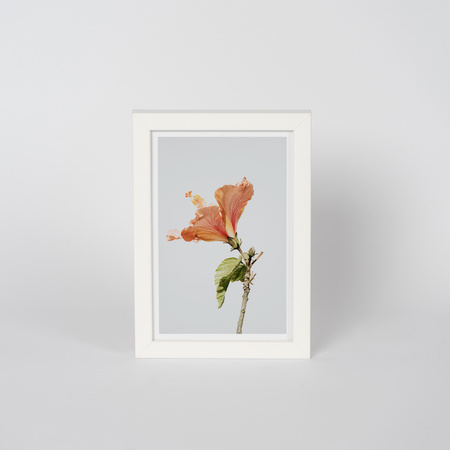 Biała ramka drewniana PINIA 1 10x15 cm