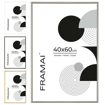 Srebrna ramka aluminiowa QAL 40x60 cm