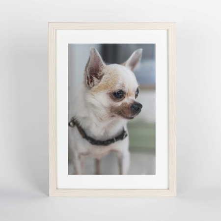 Beżowo-biała ramka na zdjęcia FDM M5 21x30 cm