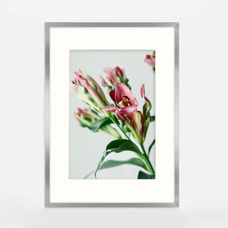 Srebrna ramka na zdjęcia HEN PASS S 60x80 cm z passe partout (50x70 cm)