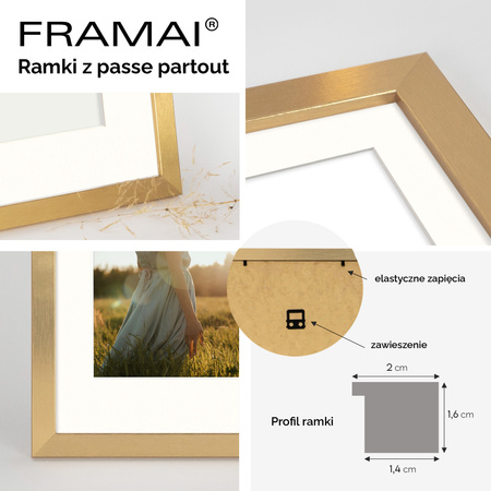 Złota ramka na zdjęcia HEN PASS Z 50x70 cm z passe partout (40x60 cm)