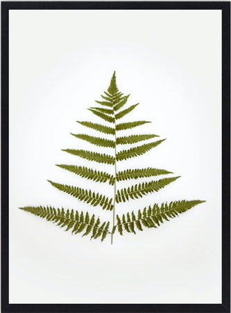 RAMA DREWNIANA - RAMKA NA ZDJĘCIA - 40x50 CZARNA