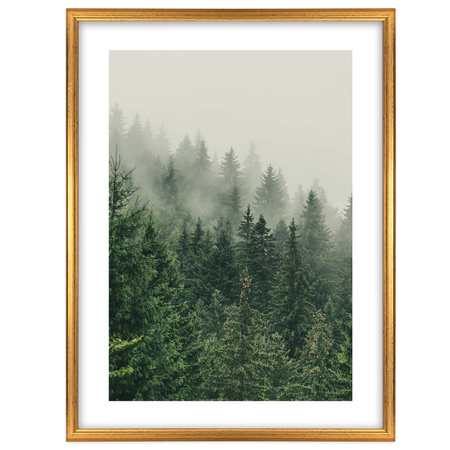 Złota ramka drewniana na zdjęcia DRWA FZ 40x50 cm