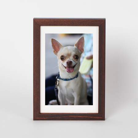 Pakiet ramek drewnianych 5 szt. PINIA 3 5SZT 10x15 cm