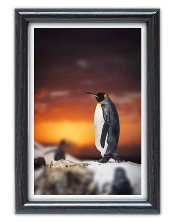 Ramka drewniana na zdjęcia DRWC F 22 20x20 cm