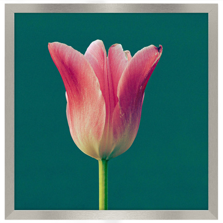 Srebrna ramka na zdjęcia HEN S 40x40 cm