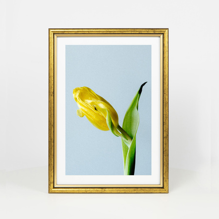 Ramka drewniana na zdjęcia DRI CL Z 21x30 cm