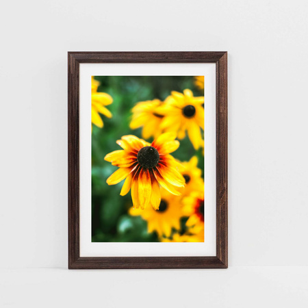 Pakiet 5 szt. ciemno brązowych ramek drewnianych na zdjęcia DRWA 44 13x18 cm