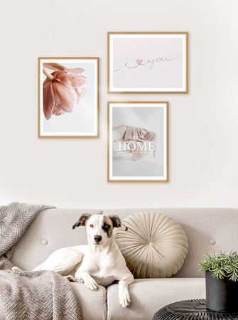 Zestaw ramek PINIA 00 GF0013 - galeria ramek na 3 zdjęcia