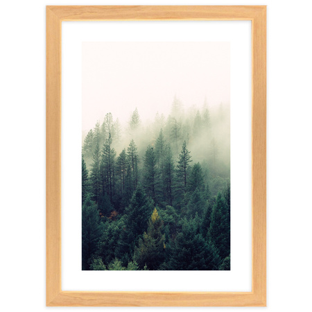 Zestaw naturalnych ramek galeria Pinia 0 GF0001