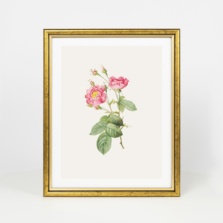 Ramka drewniana złota na zdjęcia DRI CL Z 24x30 cm