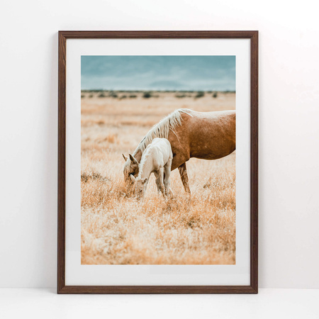 Pakiet 5 szt. brązowych ramek drewnianych na zdjęcia DRWA 4 30x40 cm